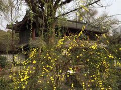 -成都武侯祠博物馆