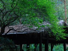 -黄公望隐居地