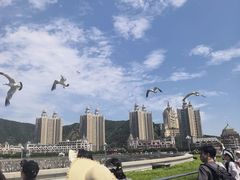 -星海广场