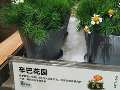 -鹿岛生活(熙地港店)