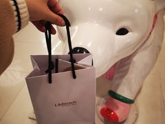 -Laderach 莱德拉(上海环贸iapm店)