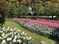 -上海鲜花港