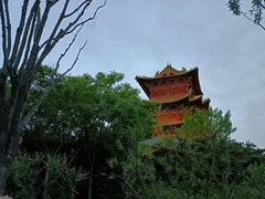 -迎泽公园