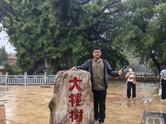 -大槐树寻根祭祖园