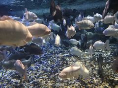 -成都浩海立方海洋公园