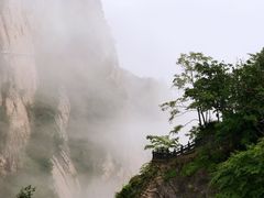 -洛阳白云山景区