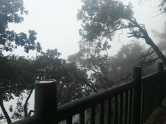 -塔云山