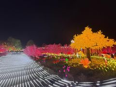 -国际非物质文化遗产博览园