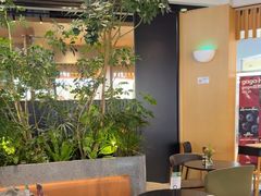 -gaga(深圳福田星河COCO Park店)