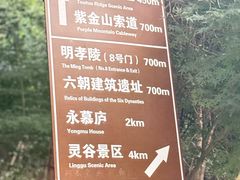 -紫金山山顶公园