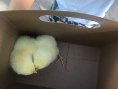 -兴芮温泉度假区