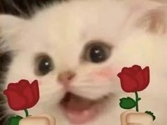 -果松木炭酸菜铜火锅·外婆参鸡汤