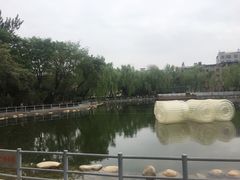 -莲湖公园