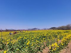 -西海岸生态观光园