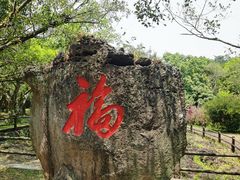 -海口火山口国家地质公园