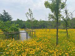 -昆山城市生态森林公园