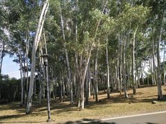 -福建鲤鱼洲酒店