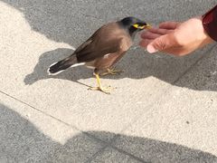 -马尔贝拉度假城