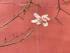 -东华门大街小区