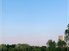 -群力丁香公园