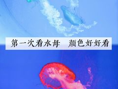 -南昌海洋公园