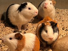 -常州海昌海洋探索馆