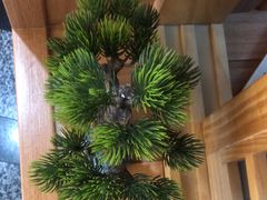 -花鸟鱼私家小厨·川菜(文殊院店)