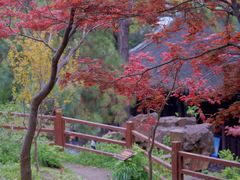 -北寺塔