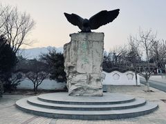 -北京鹫峰国家森林公园