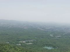 -紫金山山顶公园
