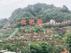 -枇杷园食为鲜火锅(南山店)