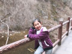 -王顺山国家森林公园