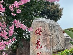 -狐尾山公园