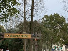 -东平国家森林公园