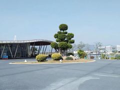 -琅岐红光湖公园