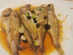 -稻香酒家·33年老字号·港式粤菜(富邦中心店)