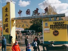 -横道河子东北虎林园