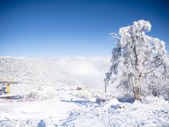 -太子岭滑雪场
