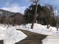 -支芴洞爷国立公园