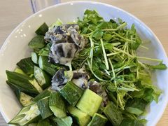 -SHUBO蔬小盒(三里屯店)