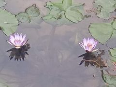 -云溪植物园
