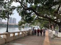 -珠江夜游省总码头