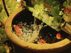 -永安里地摊烤肉(首创店)