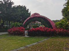 -王借岗森林公园