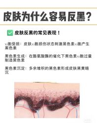-玛莲朵·海菲秀冰珀科