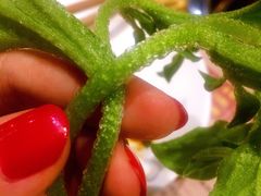 -潮汕牛肉火锅(铁西店)