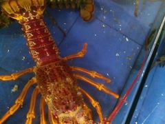 -山东八大碗山东老字号