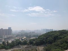 -金鸡山公园