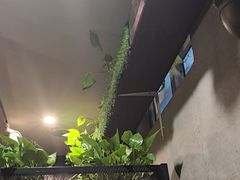 -万记麻辣烫国展总店