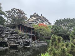 -顺峰山公园